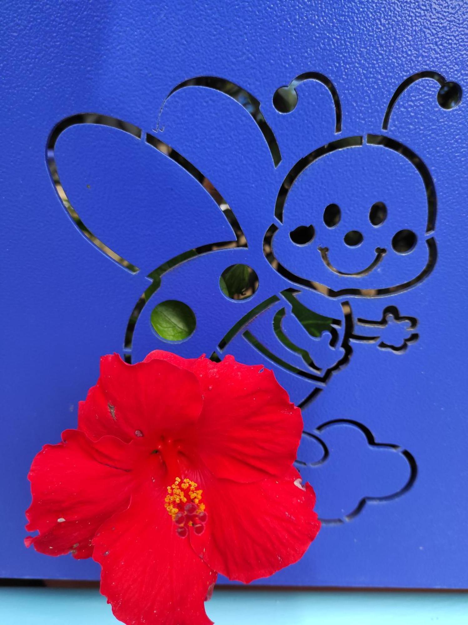 Coccinella Ξενοδοχείο Sabaudia Εξωτερικό φωτογραφία