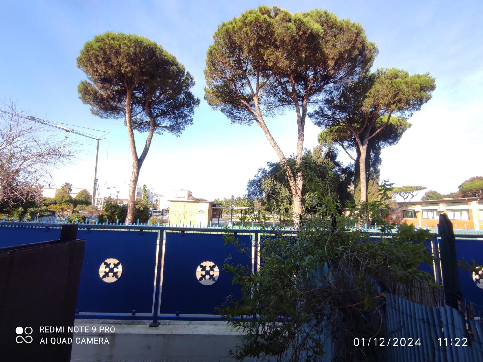 Coccinella Ξενοδοχείο Sabaudia Εξωτερικό φωτογραφία