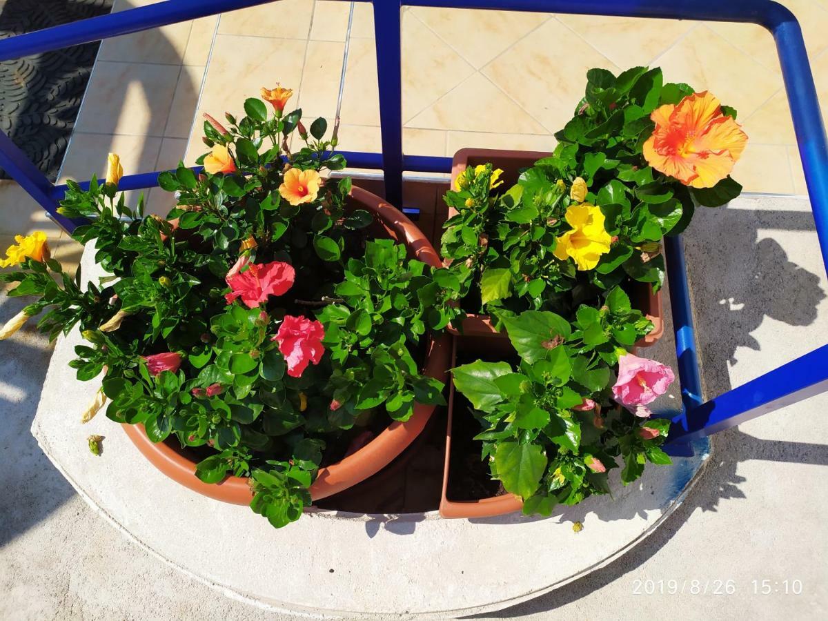 Coccinella Ξενοδοχείο Sabaudia Εξωτερικό φωτογραφία