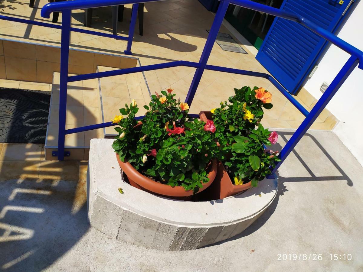 Coccinella Ξενοδοχείο Sabaudia Εξωτερικό φωτογραφία